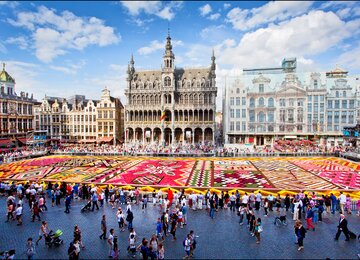 Brüssel Belgien Flowercarpet Blumenteppich | © Flowercarpet