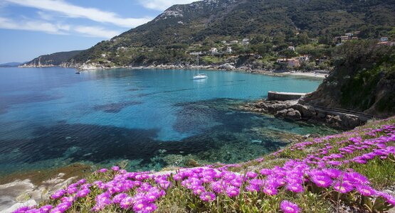 Insel | © Roberto Ridi