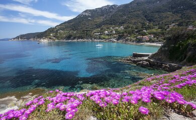Insel | © Roberto Ridi