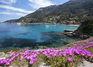 Insel | © Roberto Ridi