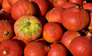 Kübisse , herbst , markt | © hokkaido-pumpkin- ulleo_Pixabay