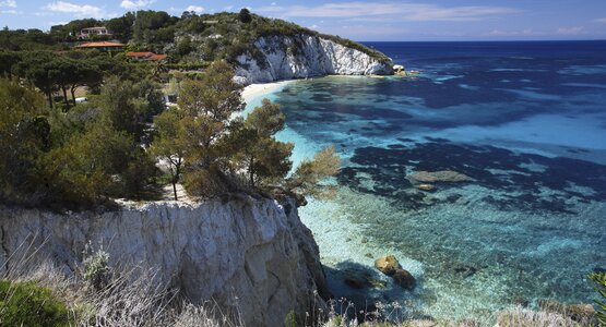 Küste,Meer,Bäume | © Portoferraio - Spiaggia della Padulella_Foto Roberto Ridi