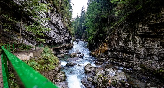 Breitachklamm, Kleinwalsertal | © Dominik Berchtold