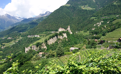 Weinfelder,Schloss,Berge | © Schloss Tirol bei Meran (C) Manuela Strasser.JPG