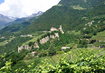 Schloss Tirol bei Meran | © Schloss Tirol bei Meran (C) Manuela Strasser.JPG Weinfelder,Schloss,Berge | © Schloss Tirol bei Meran (C) Manuela Strasser.JPG