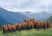 Val di Sole_ Trentiner Bergchor_La Montanara | © (c) Turismo val di Sole.jpg Männer,Berge,Wiese | © (c) Turismo val di Sole.jpg