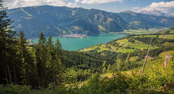 See,Wald,Bäume | © (c) lake-1064101_1280