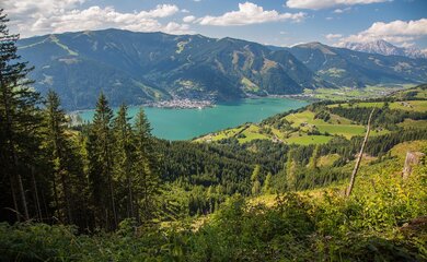 See,Wald,Bäume | © (c) lake-1064101_1280