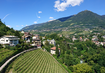 Weinreben,Häuser,Himmel | © (C) Manuela Strasser
