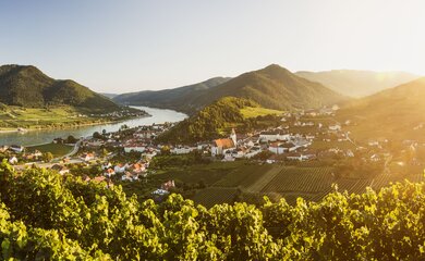 Fluss, Häuser, Berge | © Spitz(c) Niederösterreich Werbung Michael Liebert