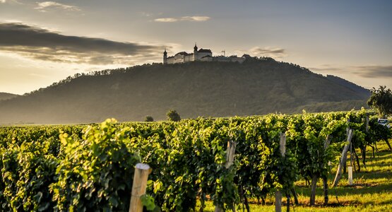 Stift Göttweig , Weinfelder, Himmel | © Stift Göttweig © Robert Herbst