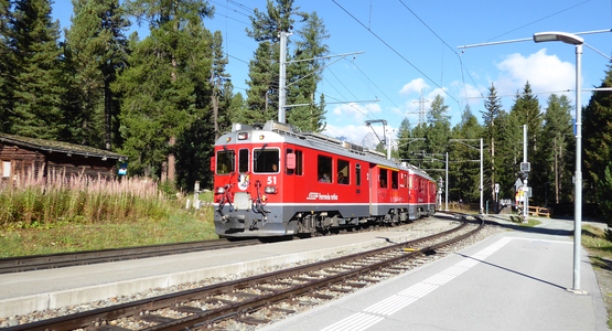 Zug, Zuggleise, Bäume | © (c) Ilse Ullmann
