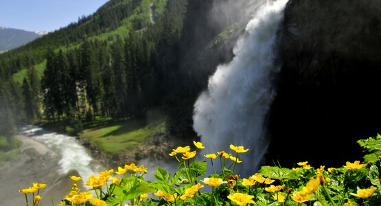 Wasserfall, Blumen, Berg | ©  (c) Ferdinand Rieder