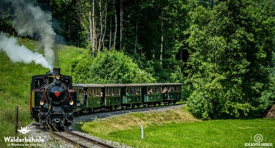 Zug,Wald,Bäume | © (c) Schlachter Andreas Photography_Wälderbähnle