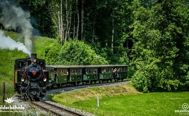 Zug,Wald,Bäume | © (c) Schlachter Andreas Photography_Wälderbähnle