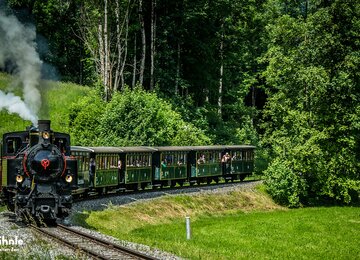 Zug,Wald,Bäume | © (c) Schlachter Andreas Photography_Wälderbähnle