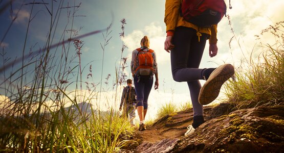 Wanderer, Berg, Wiese | © shutterstock_209357416