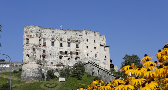 Burg, Sonnenblume, Blauer Himmel | © ©Rauchenberger © TVB Lieser-Maltatal