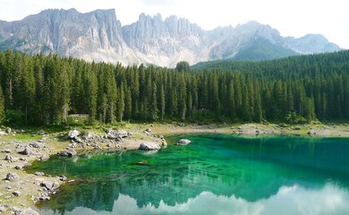 See,Wald,Berge | © carezza-lake-9352996_1280