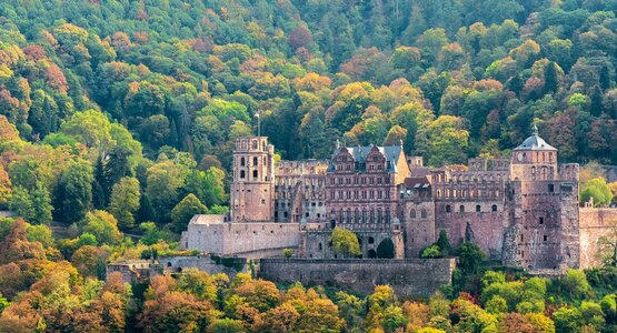 Schloss, Wald, Bäume | © (c) Pixabay Schloss heidelberg-4603040_1280