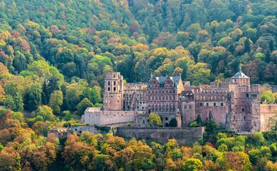 Schloss, Wald, Bäume | © (c) Pixabay Schloss heidelberg-4603040_1280