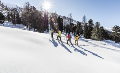 Wandern, Schnee, Wald | © (c)Andrea Badrutt 2018_02_14__D3A2355
