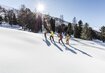 Schneeschuhwandern | © (c)Andrea Badrutt 2018_02_14__D3A2355 Wandern, Schnee, Wald | © (c)Andrea Badrutt 2018_02_14__D3A2355