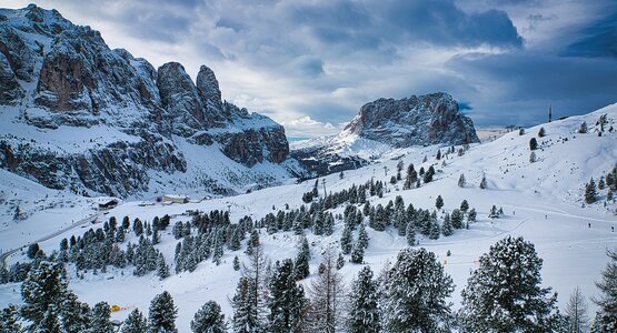 Schnee, Berge, Bäume | © (c)pixabay trees-6868446_1280