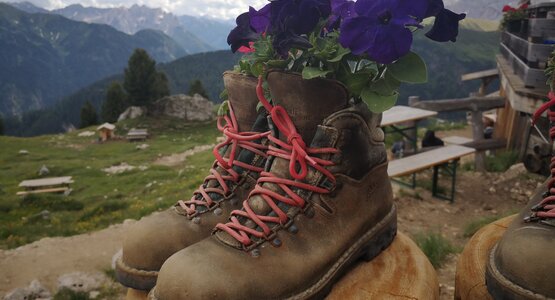 Bergschuhe,Blumen,Alm | © (c) jasmin egger