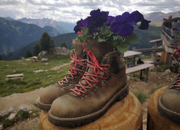 Bergschuhe,Blumen,Alm | © (c) jasmin egger