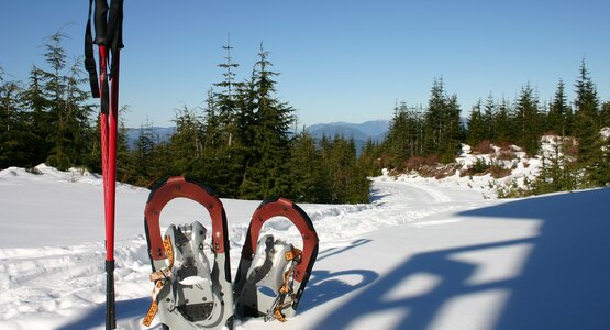 Wald,Schneeschuhe,Stöcke | © (c) Pixabay