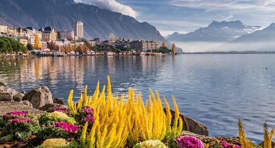 See, Blumen, Berge | © (C) Christel auf Pixabay