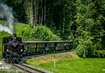 Wälderbähnle | © (c) Schlachter Andreas Photography_Wälderbähnle Zug,Wald,Eisenbahn | © (c) Schlachter Andreas Photography_Wälderbähnle