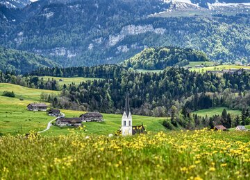 Wald, Blumen, Berge | © (c) Pixabay von webentwicklerin_Bregenzerwald
