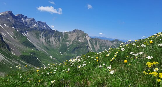 Berg, Wiese,Himmel | © Natur (c) Lungkofler Bettina