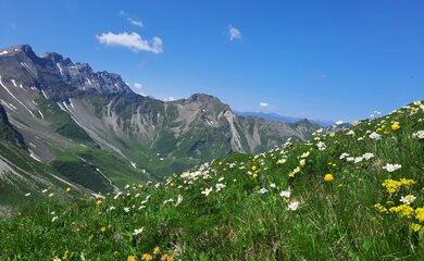 Berg, Wiese,Himmel | © Natur (c) Lungkofler Bettina