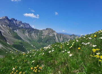 Berg, Wiese,Himmel | © Natur (c) Lungkofler Bettina
