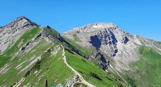 Berg, Blumen, Steine | © Gipfelblick (c) Lungkofler Bettina