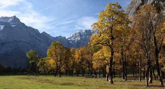 Bäume,Wald,Berge | © mountains-5699552_1280