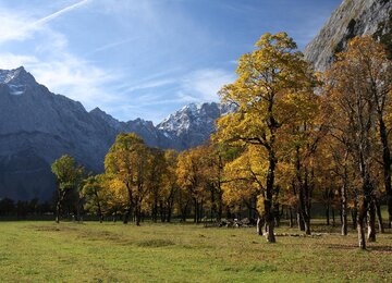 Bäume,Wald,Berge | © mountains-5699552_1280