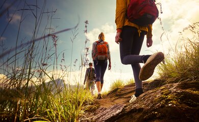 Wanderer, Pflanzen, Berge | © shutterstock_209357416