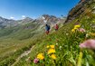 Wanderer,Blumen,Berge | © ©FRANZGERDL THW _5610