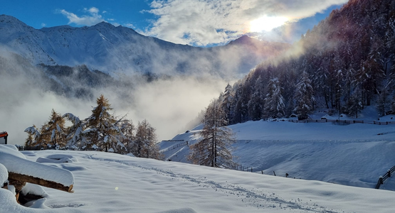 Berge, Schnee, Nebel, Sonne, Wald | © (c) Winterlandschaft Finail Alex Filz (11)