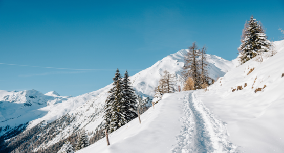Berge, Schnee, Bäume, Fußspur | © (c) TV LATSCH-MARTEL I Benjamin Pfitscher