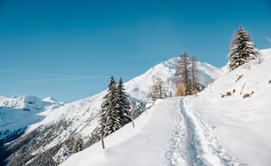 Berge, Schnee, Bäume, Fußspur | © (c) TV LATSCH-MARTEL I Benjamin Pfitscher