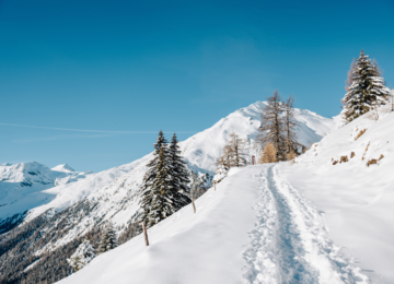 Berge, Schnee, Bäume, Fußspur | © (c) TV LATSCH-MARTEL I Benjamin Pfitscher