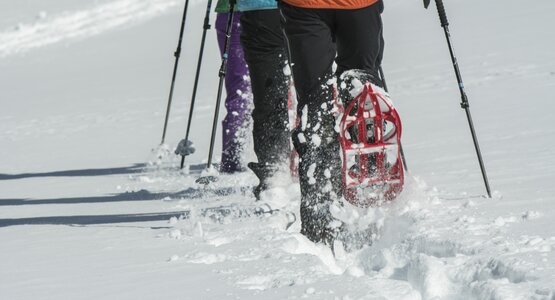 Wanderer, Berge, Wald, Schnee | © (c) TVB Osttirol/Berg im Bild