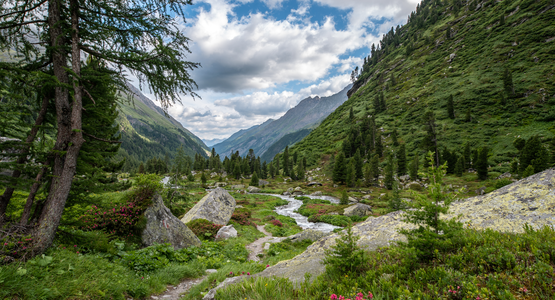 Weg, Bach, Berge, Bäume | © (c) Nationalpark Hohe Tauern/ Hannah Assil & Michael Kastl (Verwendung ausschließlich im Zusammenhang mit der Marke Nationalpark Hohe Tauern)