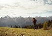 Berglandschaft, Berge, Grass | © (c) TVB Osttirol/Attic Film GmbH 