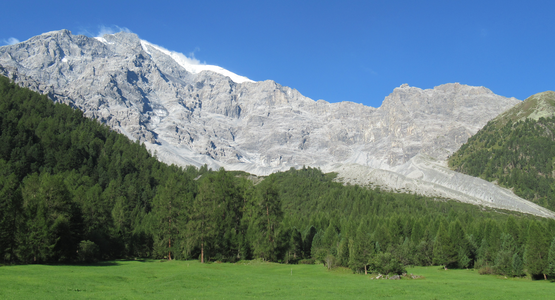 Berge, Wiese, Wald   | © (c) Barbara Hausberger 